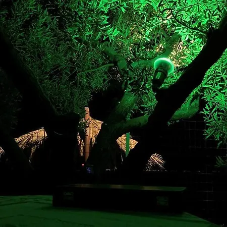 One Step ι Seaside ι Quiet ι Casa de Férias